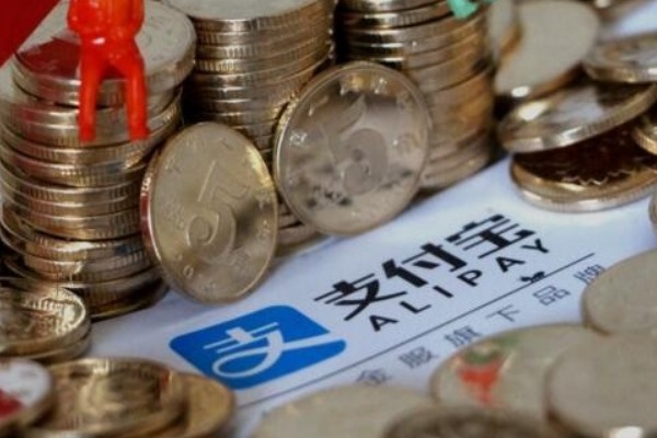 支付宝的交易号是什么？